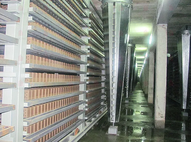 Machine de séchage de séparateur cyclonique pour le séchage des briques d'argile en transformation 1